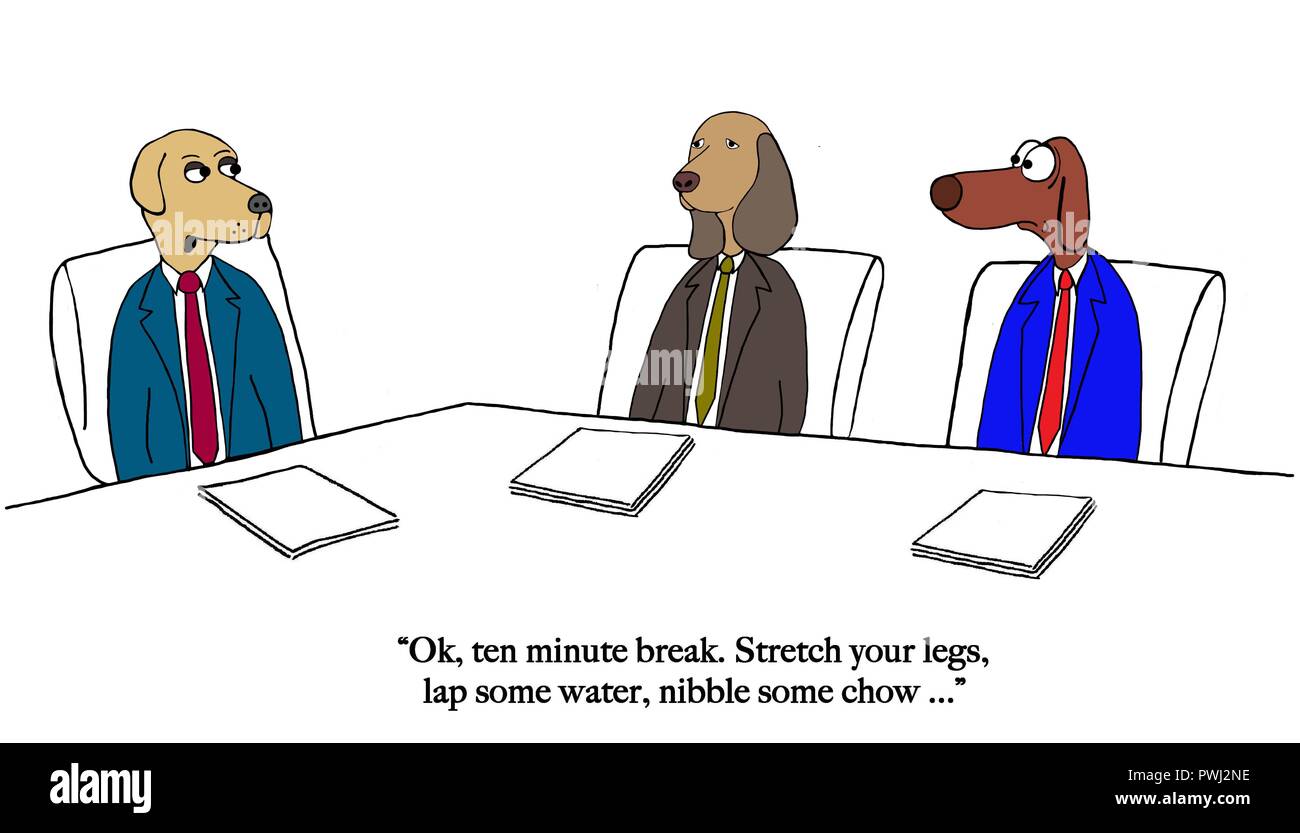 Dogs want to break from meeting Stock Photo
