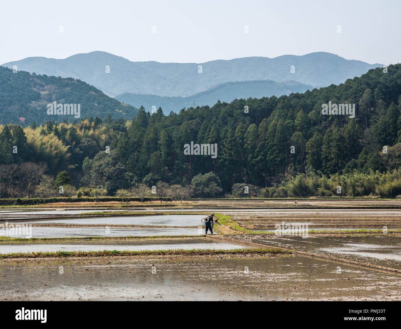 Farmers working, preparing for spring planting, flooded rice fields, blue ridge forest hills, Shimanto, Kochi, Japan Stock Photo