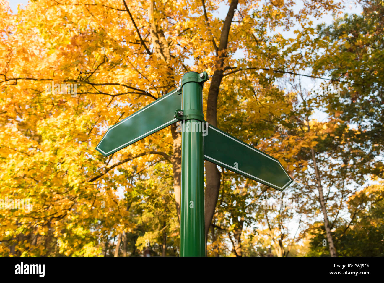 Two arrows in different directions in the autumn forest Stock Photo