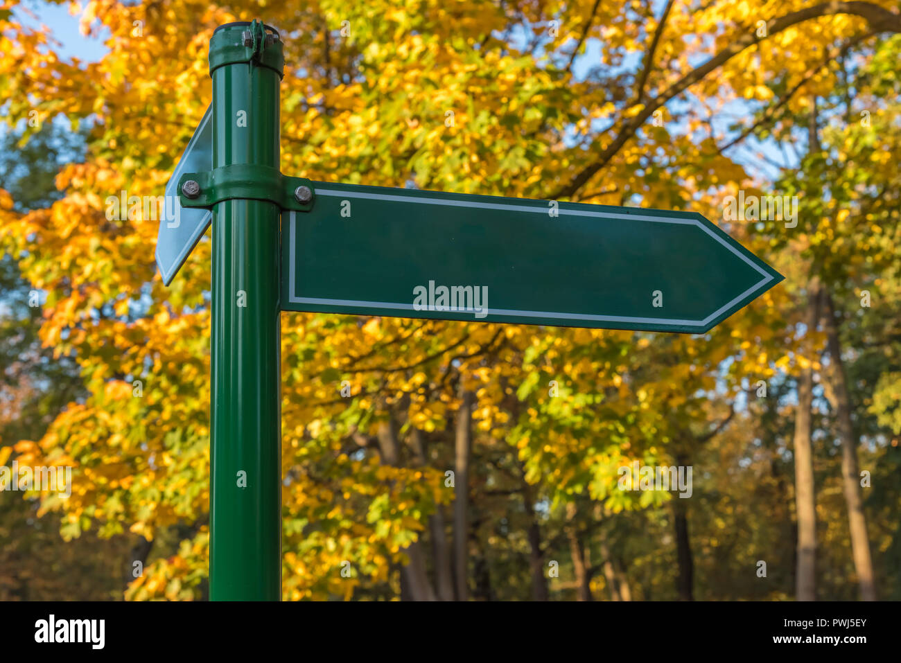 An arrow shows the direction in the autumn forest Stock Photo