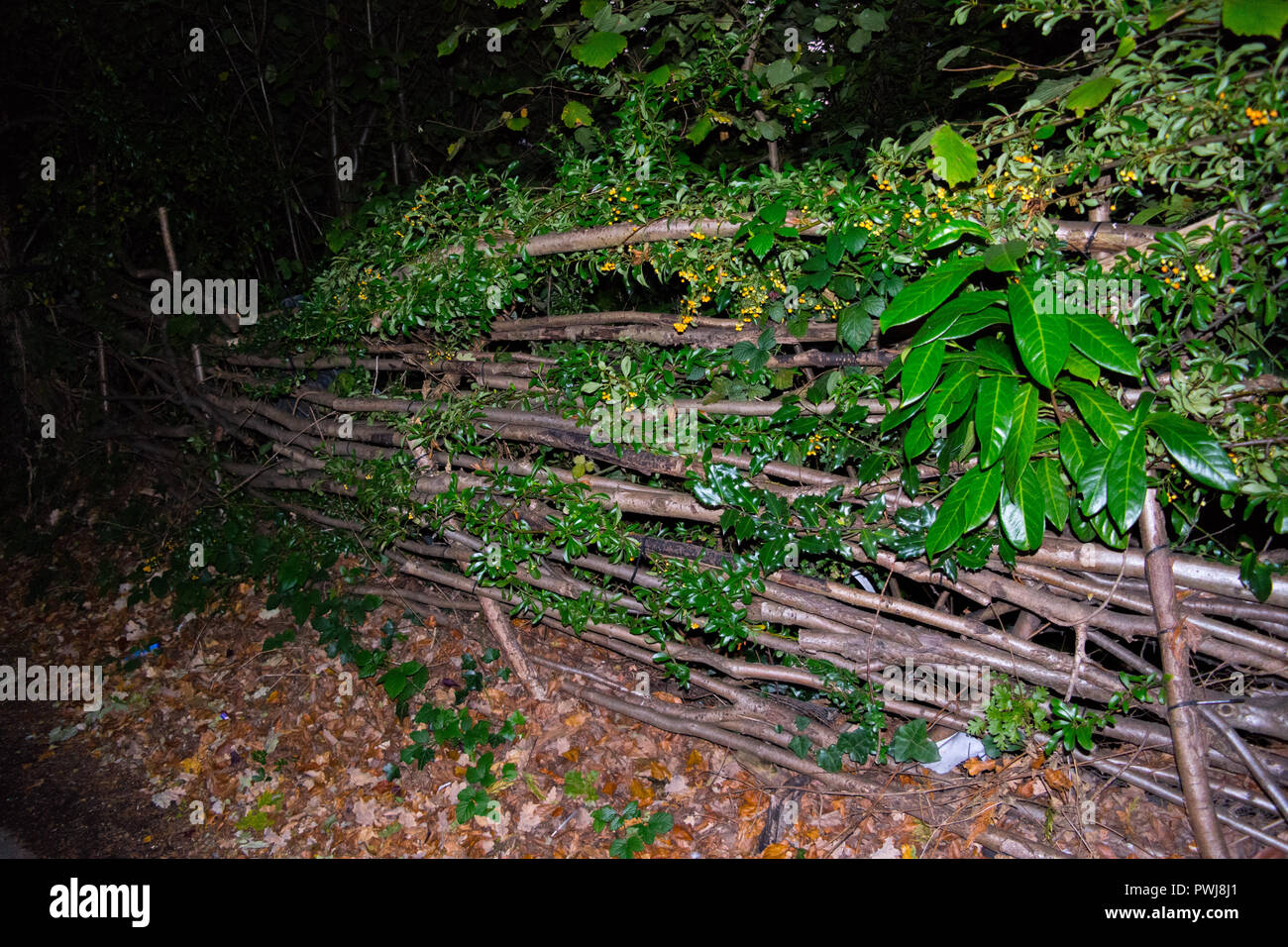 Colourful fence posts hi-res stock photography and images - Alamy