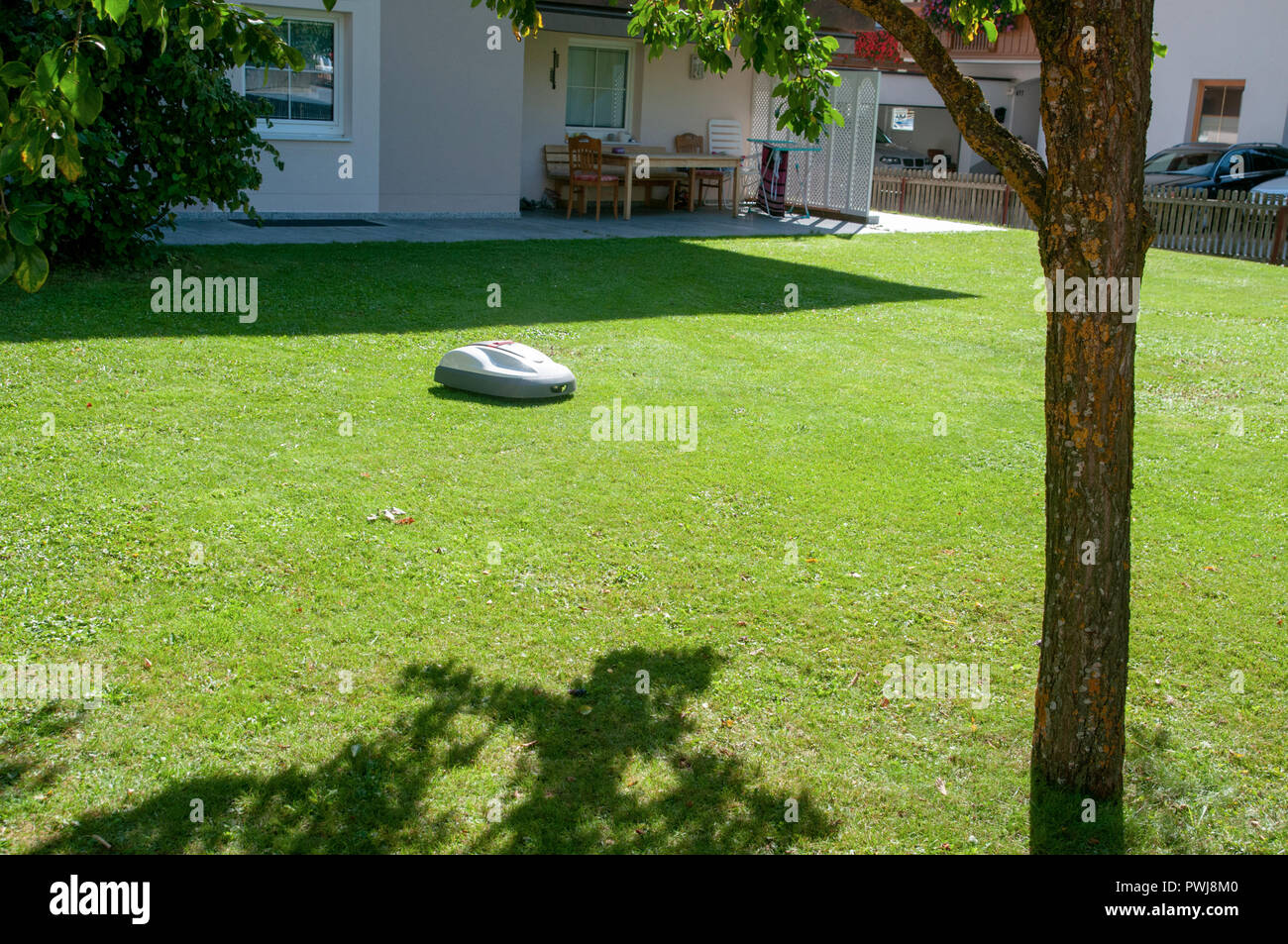 battery powered robotic lawn mower cutting grass Stock Photo