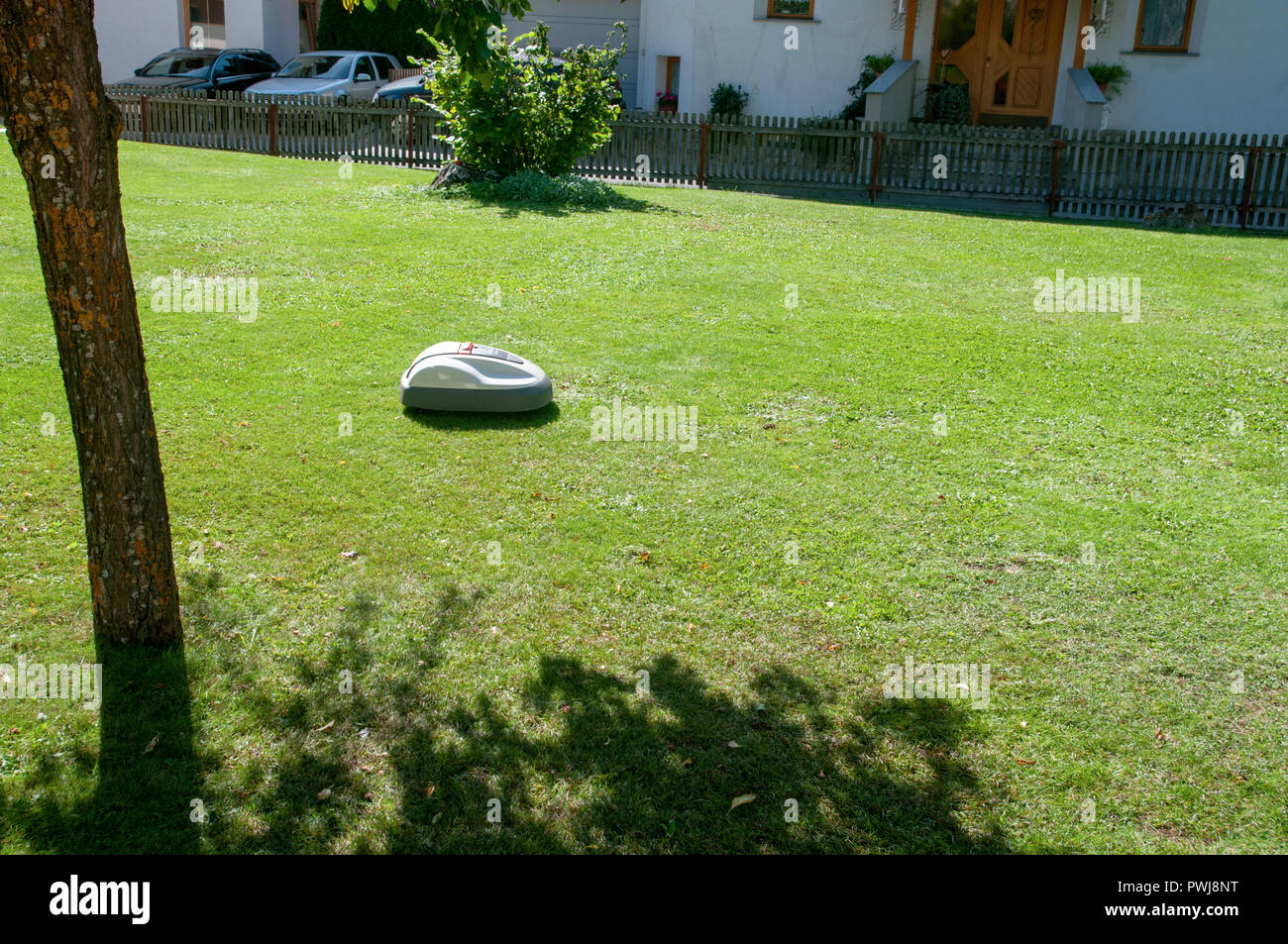 battery powered robotic lawn mower cutting grass Stock Photo