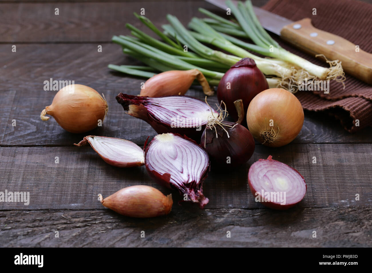 Different bulb varieties hi-res stock photography and images - Alamy