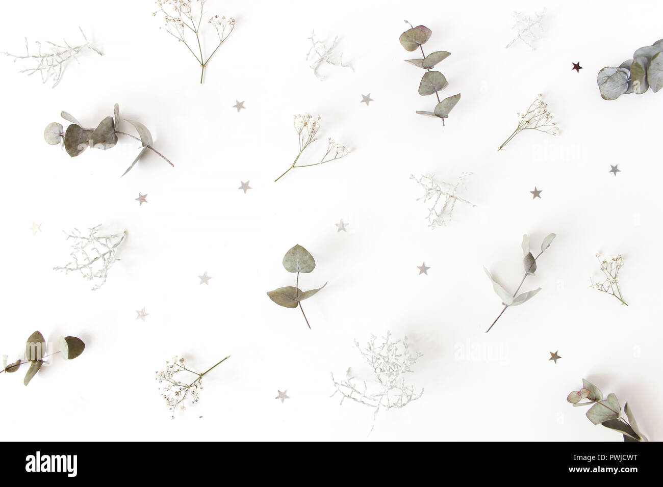 Christmas floral pattern. Winter composition of eucalyptus tree branches, baby's breath flowers, Calocephalus brownii and silver confetti stars on whi Stock Photo
