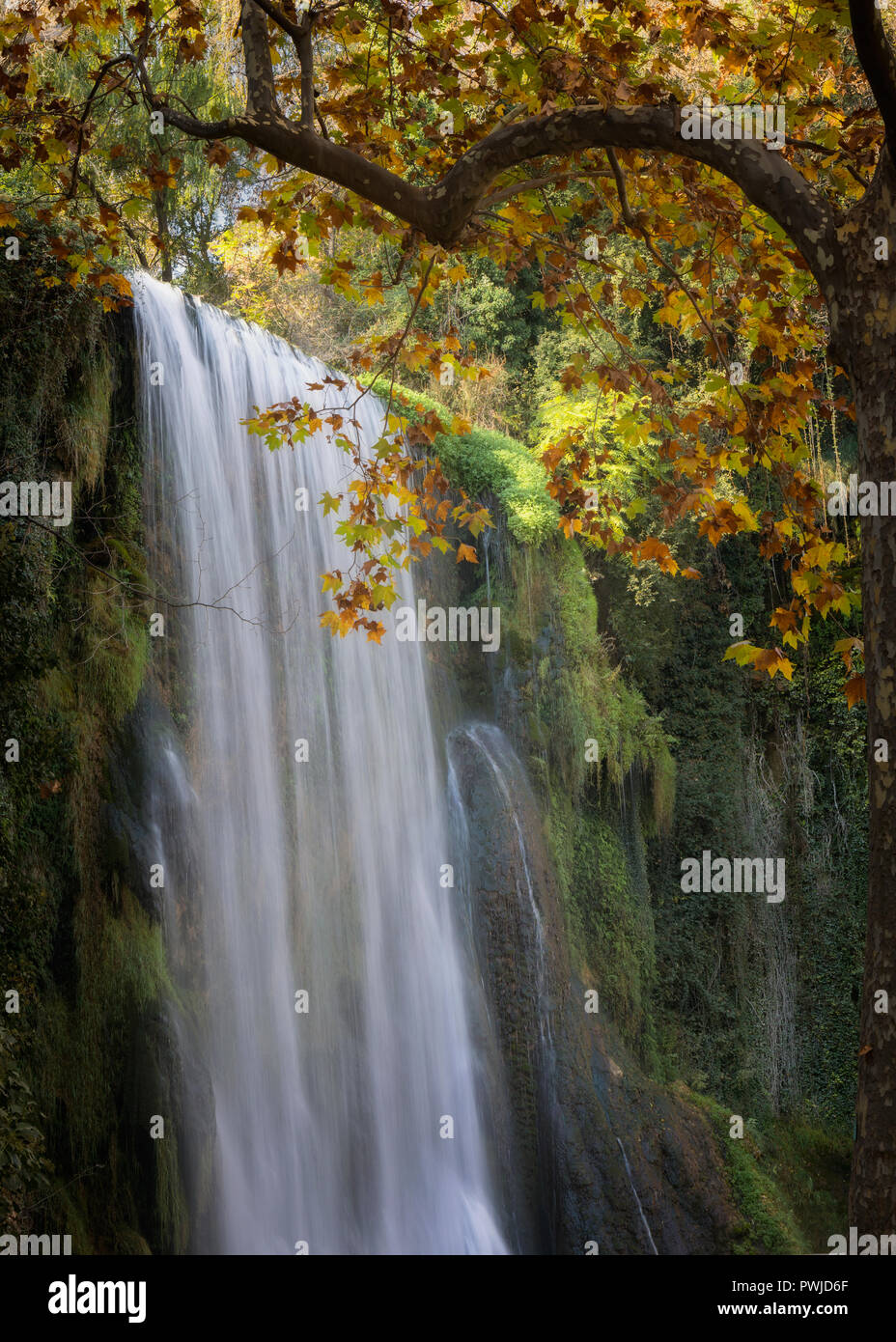 Parque Natural del Monasterio de Piedra, Zaragoza Province, Aragon, Spain.  La Caprichosa waterfall. Stock Photo