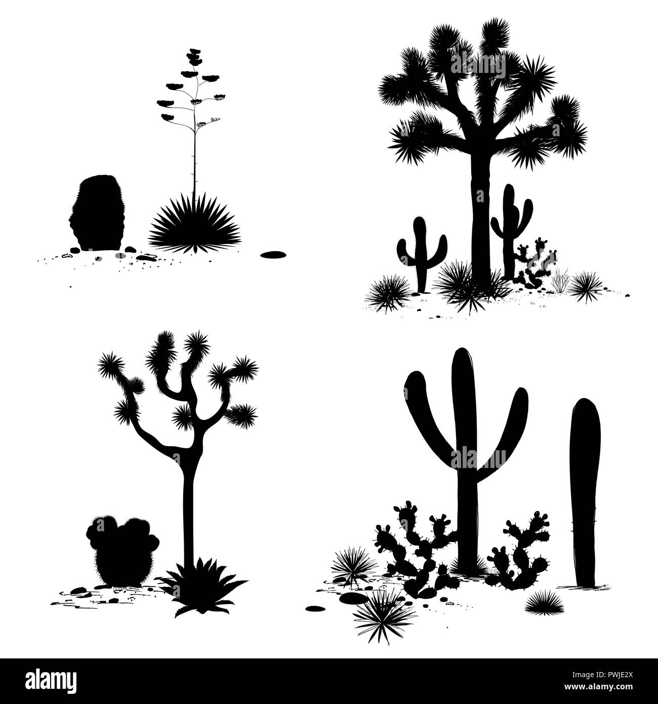 Cacti landscape groups. Vector set with silhouettes of saguaro, prickly pear, and agave. Black and white banner, place for text Stock Vector