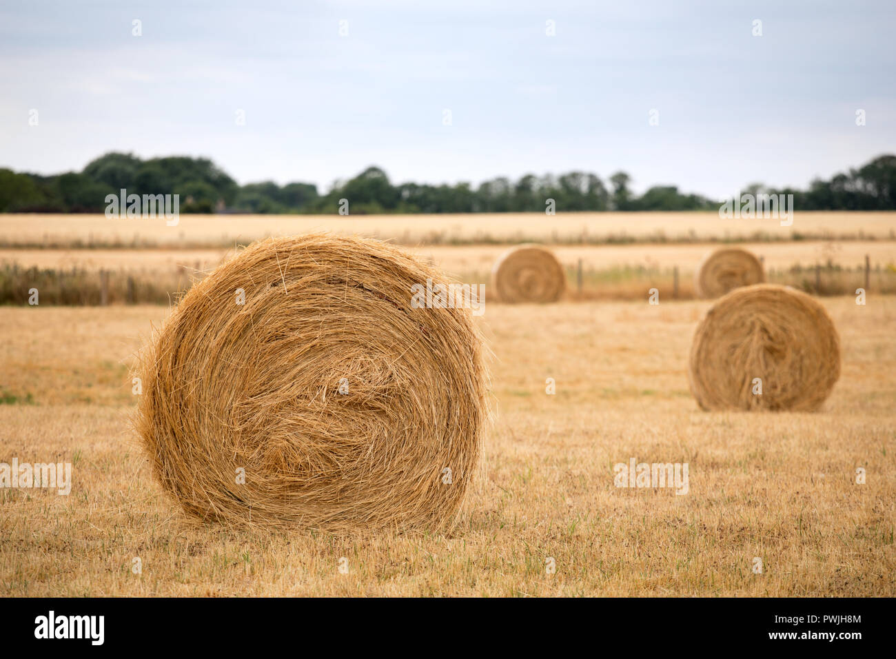 Circular Hay bales, Babraham, Cambridgeshire, England, UK Stock Photo