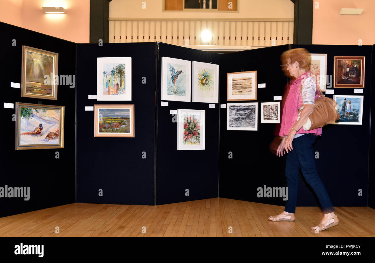Elderly woman (72 years) perusing a local art exhibition, Alton, Hampshire, UK. Thursday 11 October 2018. Stock Photo