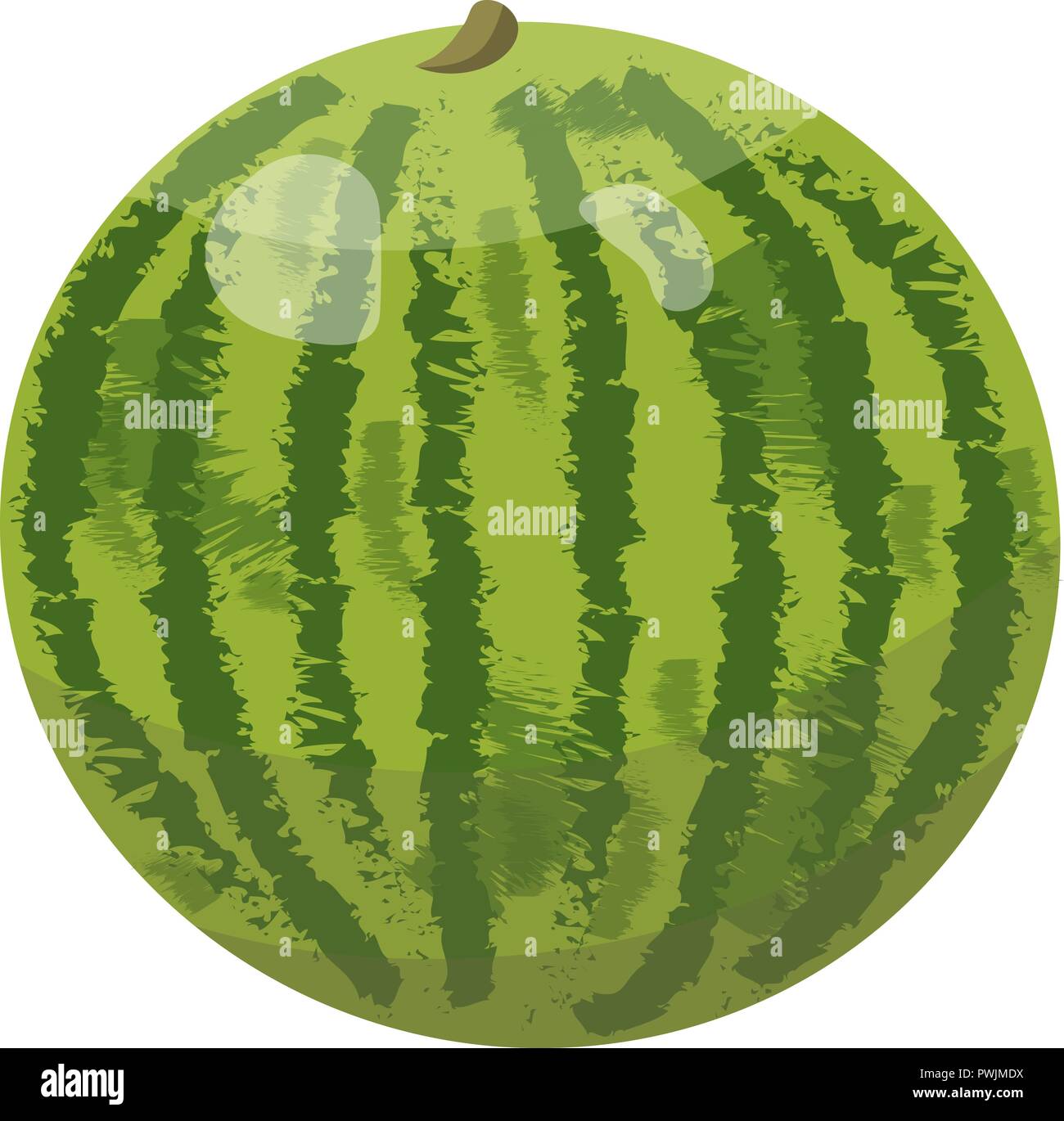 sliced fresh watermelon isolated on white background Stock Vector Image ...