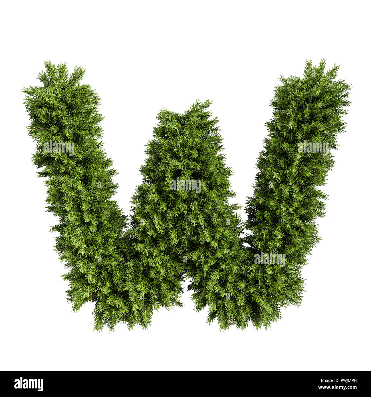 Christmas alphabet ABC character letter W font. Christmas tree branches capital letters decoration type. Highly realistic 3d rendering illustration. T Stock Photo