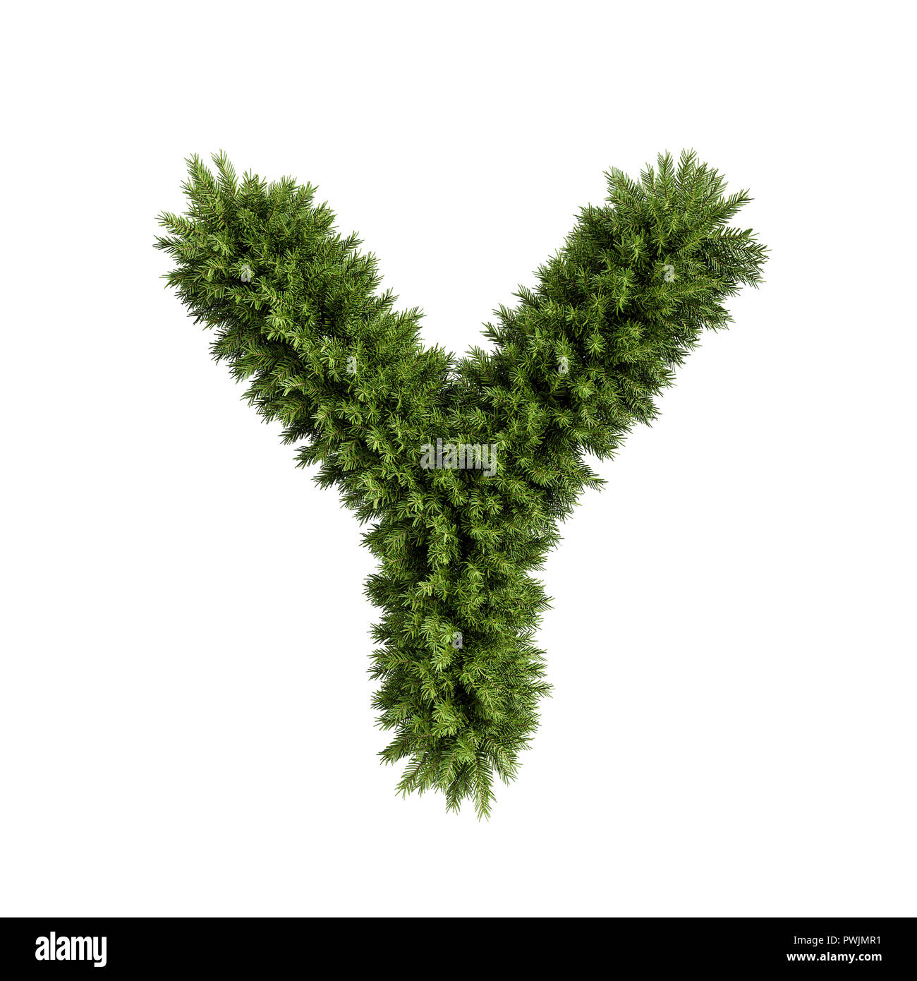 Christmas alphabet ABC character letter Y font. Christmas tree branches capital letters decoration type. Highly realistic 3d rendering illustration. T Stock Photo