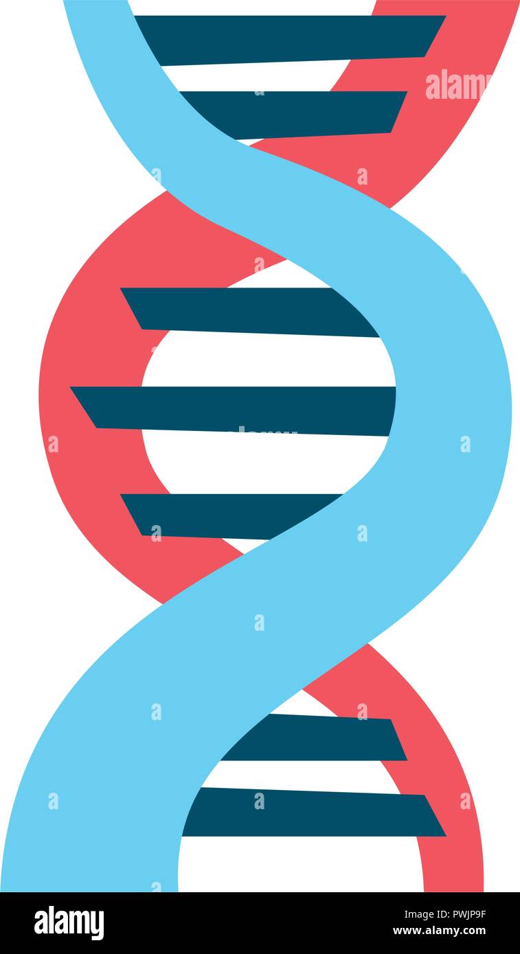 dna molecule structure science genetic vector illustration Stock Vector ...
