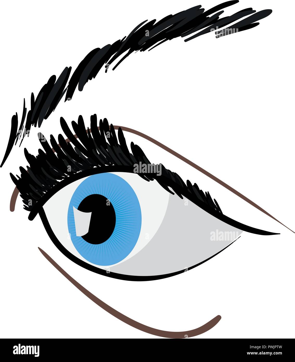 human eye on white background vector illustration Stock Vector Image ...