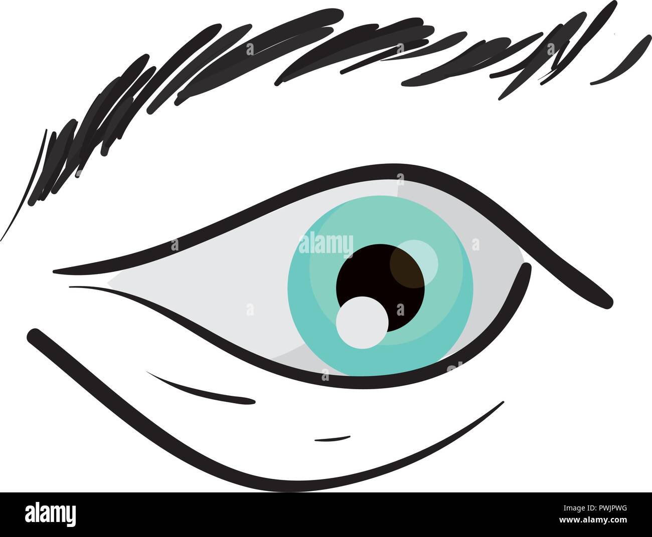human eye on white background vector illustration Stock Vector Image ...