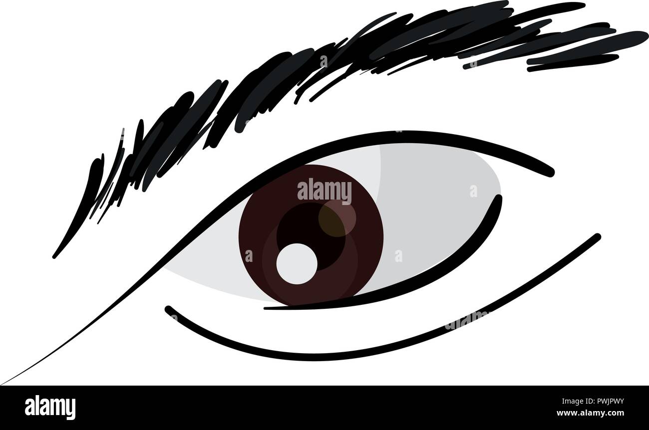 human eye on white background vector illustration Stock Vector Image ...