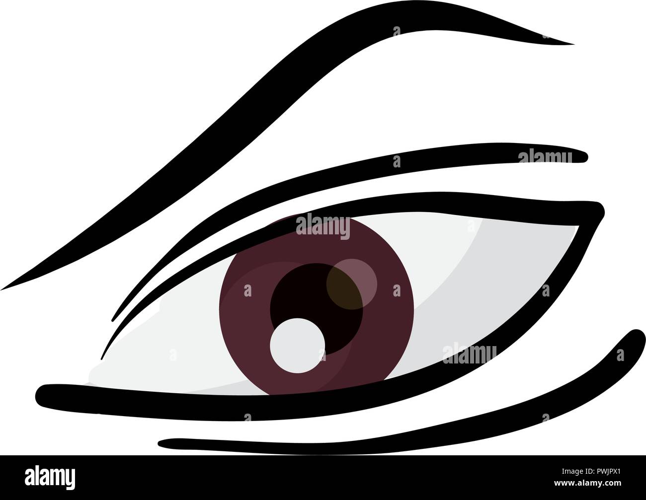 human eye on white background vector illustration Stock Vector Image ...