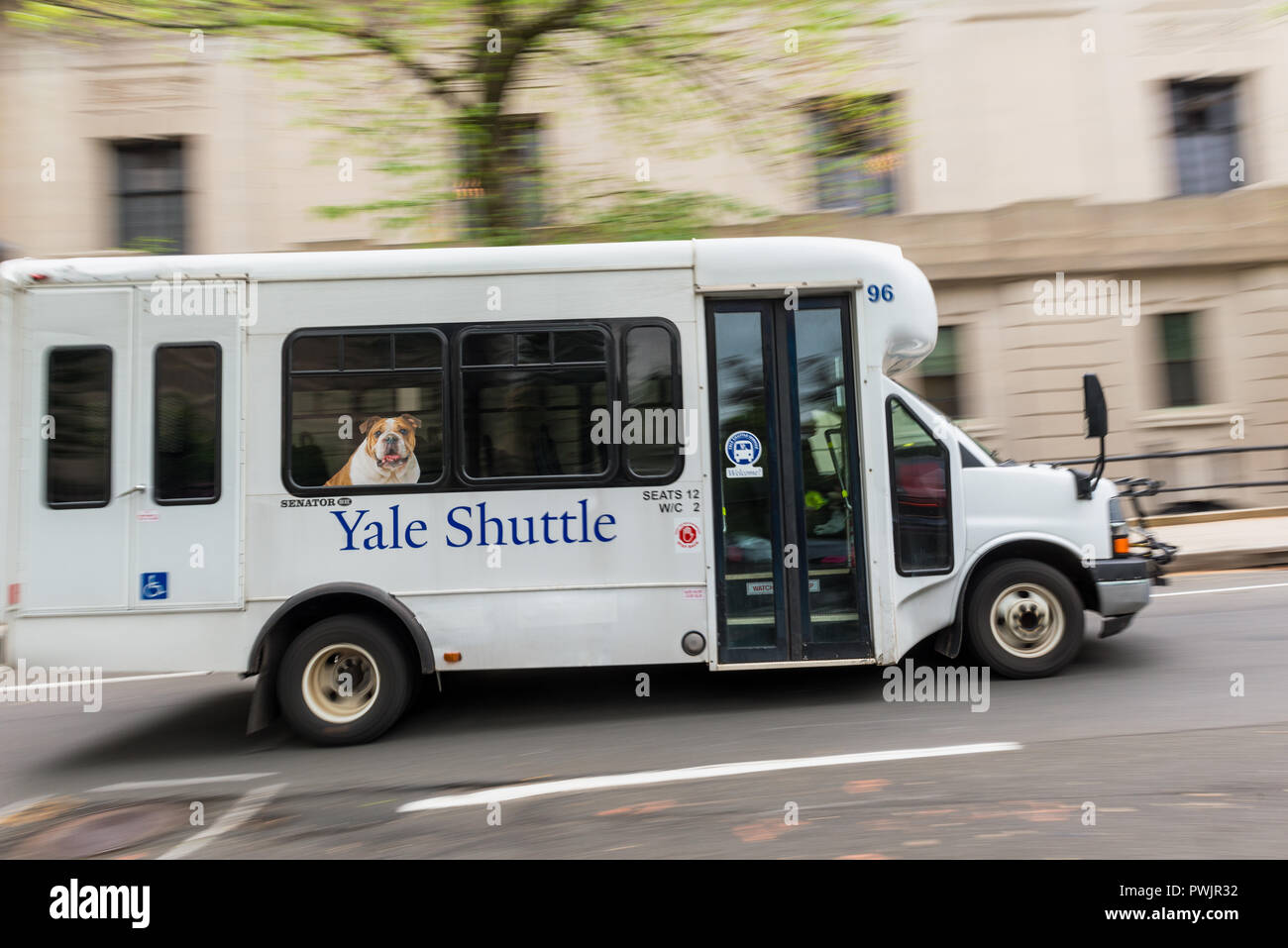 Yale Shuttle Bus in motion in New Haven, CT, USA. Yale is a private Ivy League research university  and was founded in 1701. Stock Photo