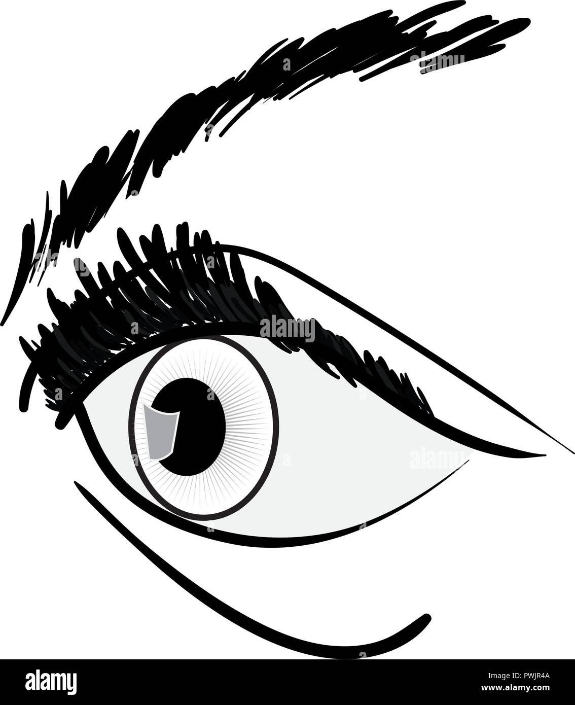 human eye on white background vector illustration Stock Vector Image ...