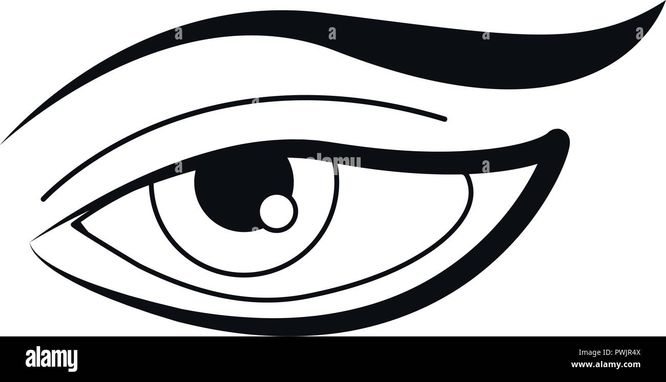 human eye on white background vector illustration Stock Vector Image ...