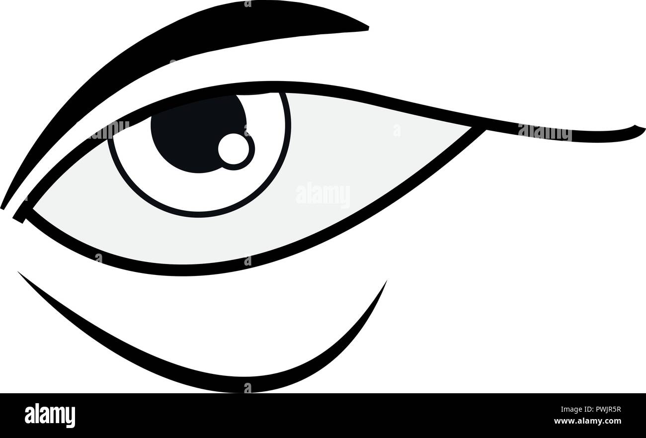 human eye on white background vector illustration Stock Vector Image ...