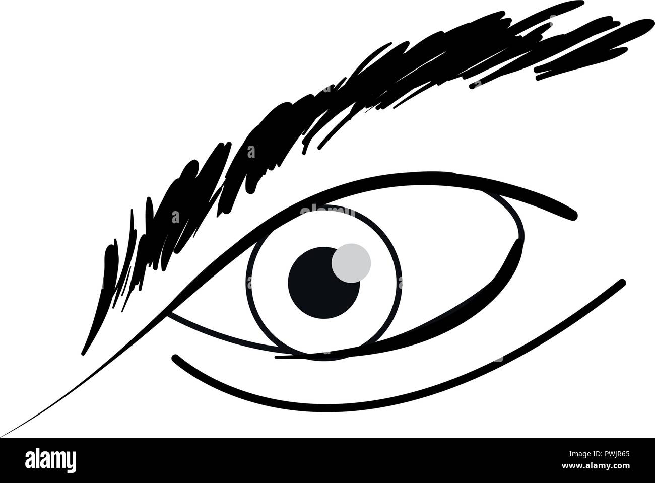 human eye on white background vector illustration Stock Vector Image ...