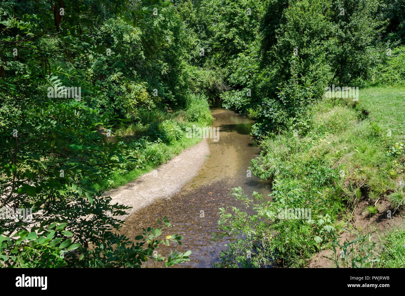 Мagnetic landscape of summertime nature with green deciduous forest and river in  the North park, Bulgaria Stock Photo
