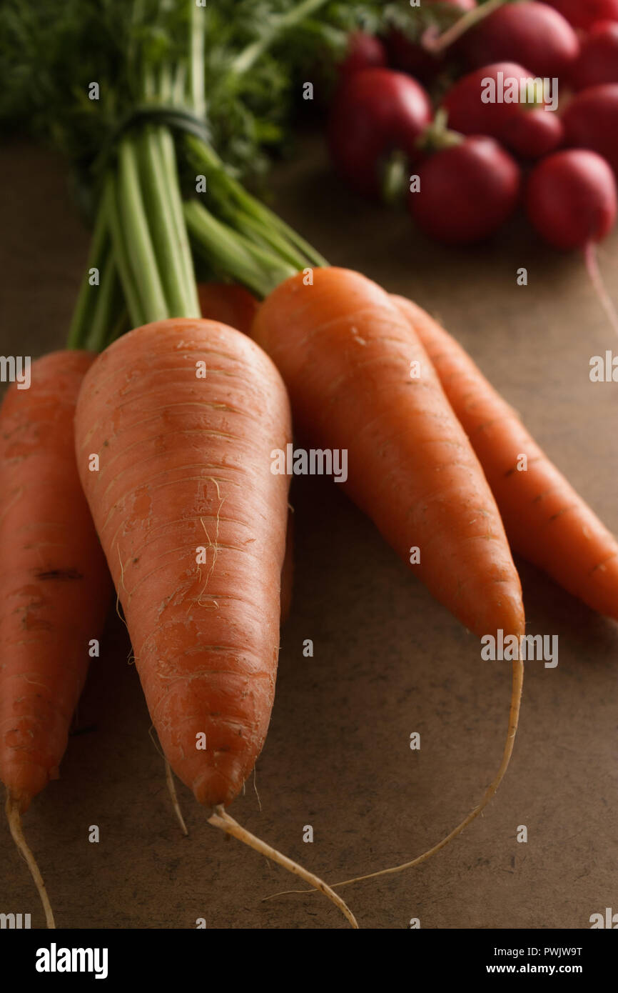 Close-up of fresh carrots on flat wooden board under morning light; a small bunch of radishes appears in the background. Stock Photo