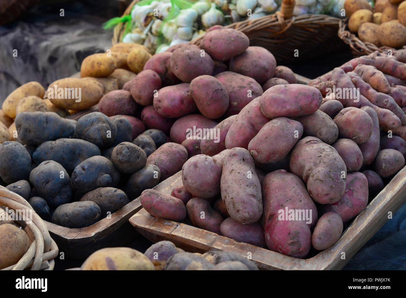 A variety of potatoes for sale at a farmers’ market in New Mexico. Stock Photo