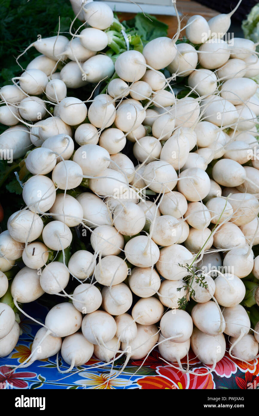 Tokyo turnips for sale at a farmers’ market in Santa Fe, New Mexico