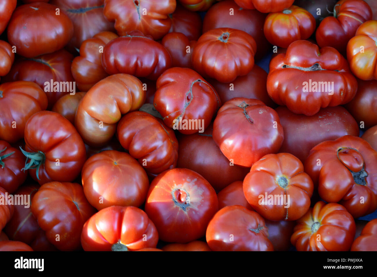 Heirloom tomatoes for sale at a farmers’ market in New Mexico Stock ...