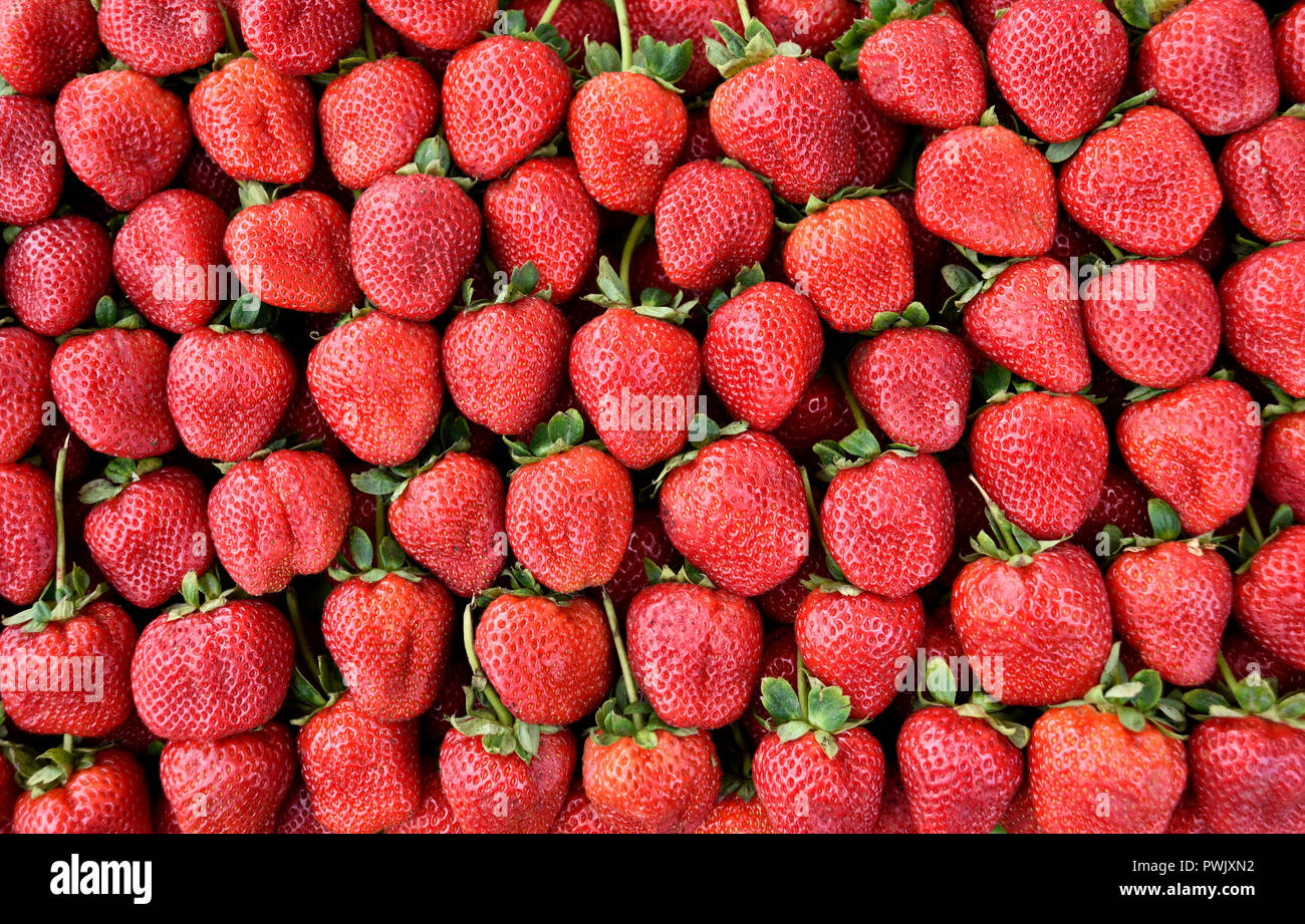 Strawberries for sale at an outdoor farmers market in San Francisco