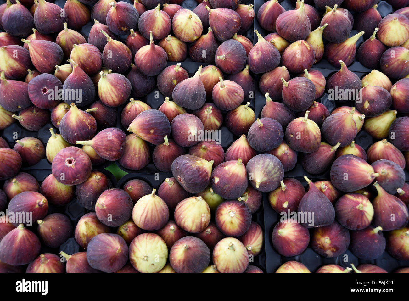 Figs for sale at an outdoor farmers market in San Francisco, California