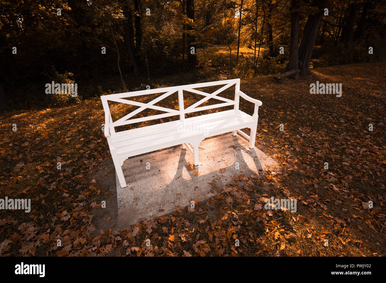 Autumn in city Park. Falling yellow maple leaves on white bench Stock ...