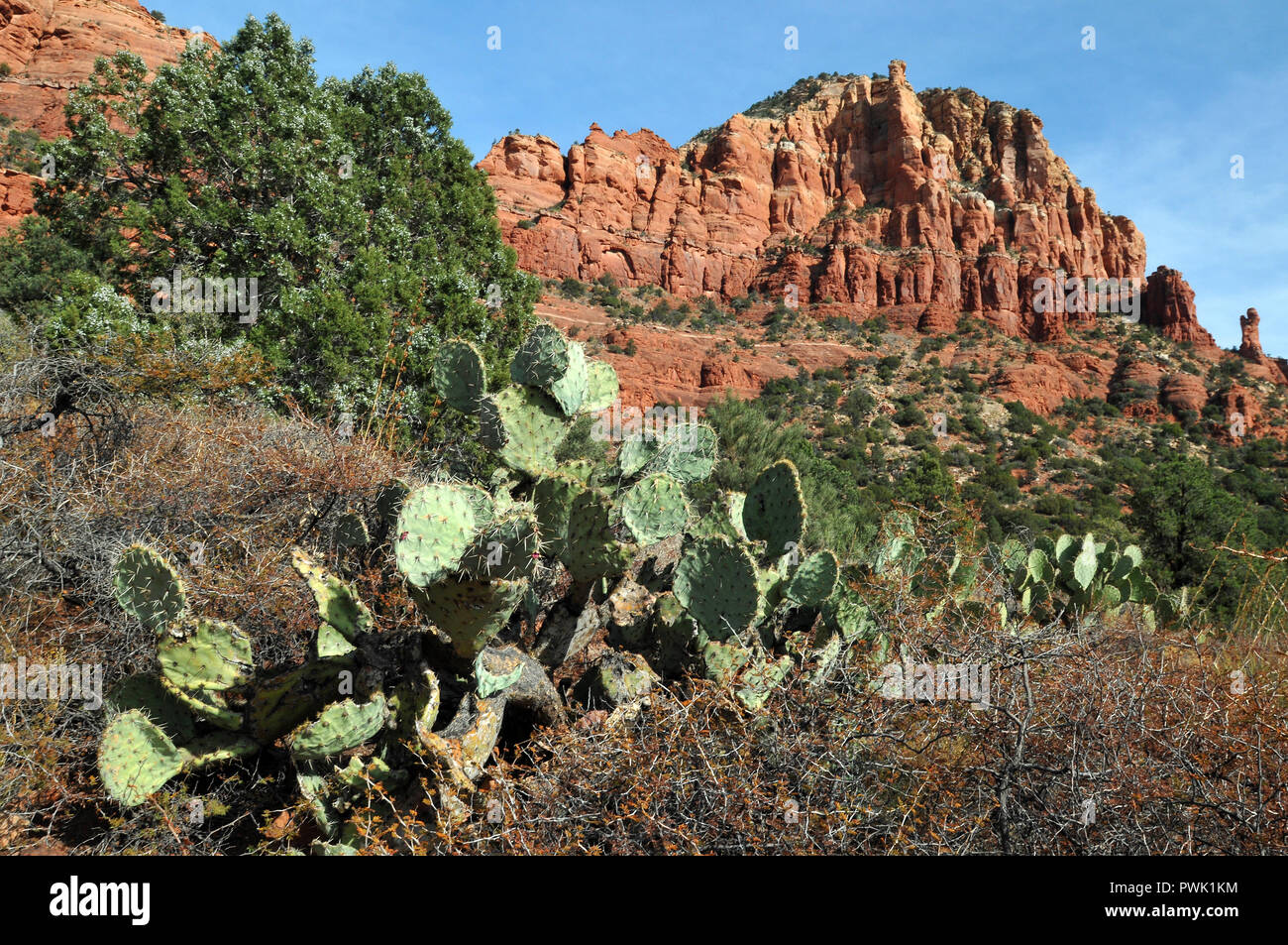 Sandstone Rock Monoliths Hi res Stock Photography And Images Alamy