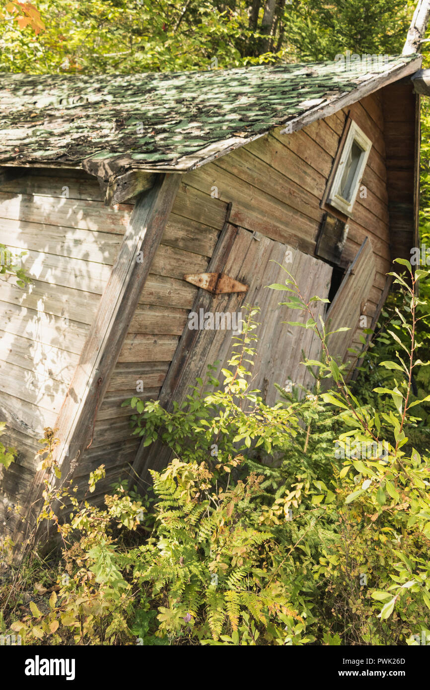 Old shed in decomposition, invaded by vegetation Stock Photo