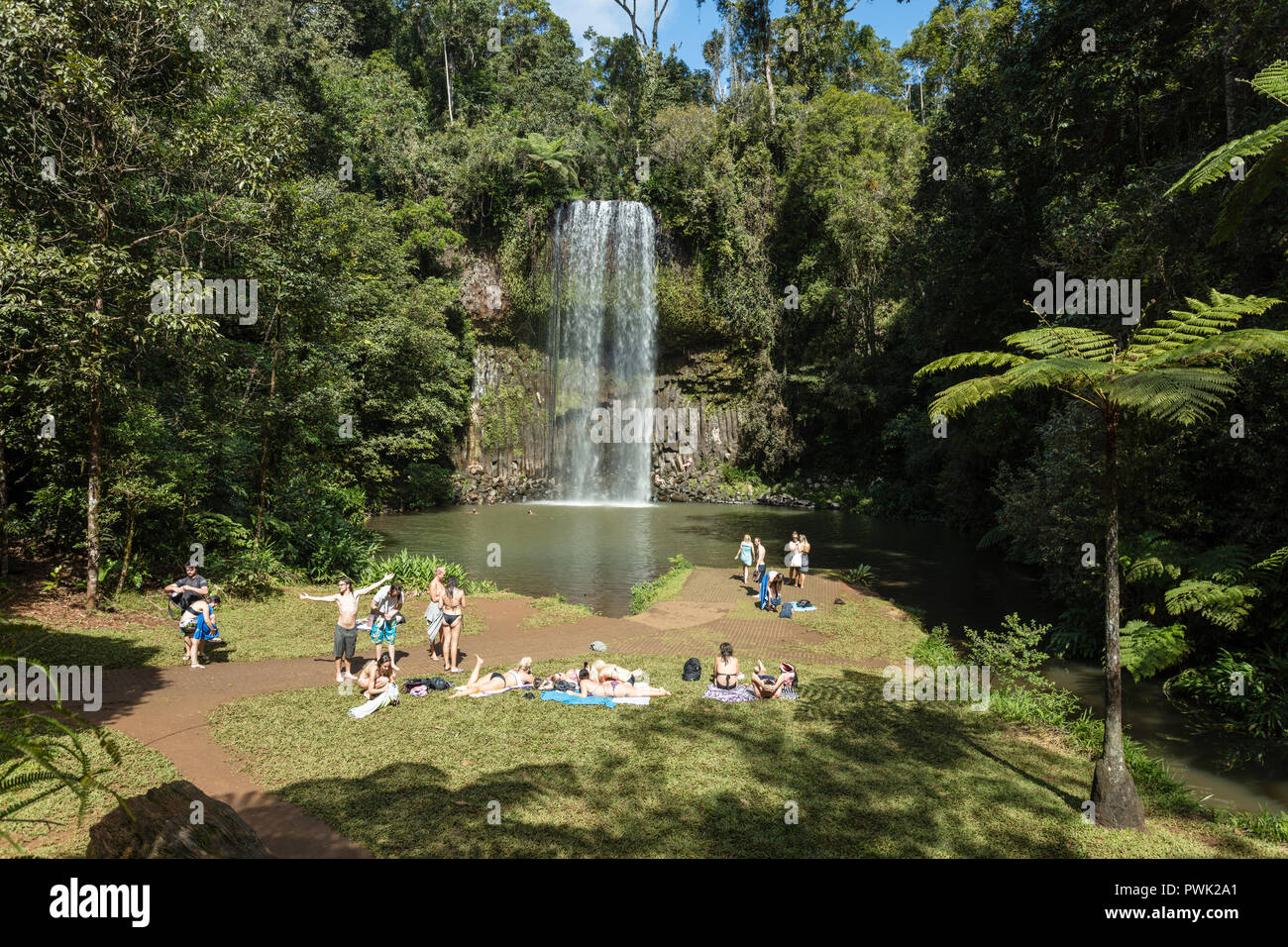 Millaa Millaa, Queensland, Australia. People enjoying Millaa Millaa Falls near Millaa Millaa on the Atherton Tablelands in tropical North Queeensland. Stock Photo