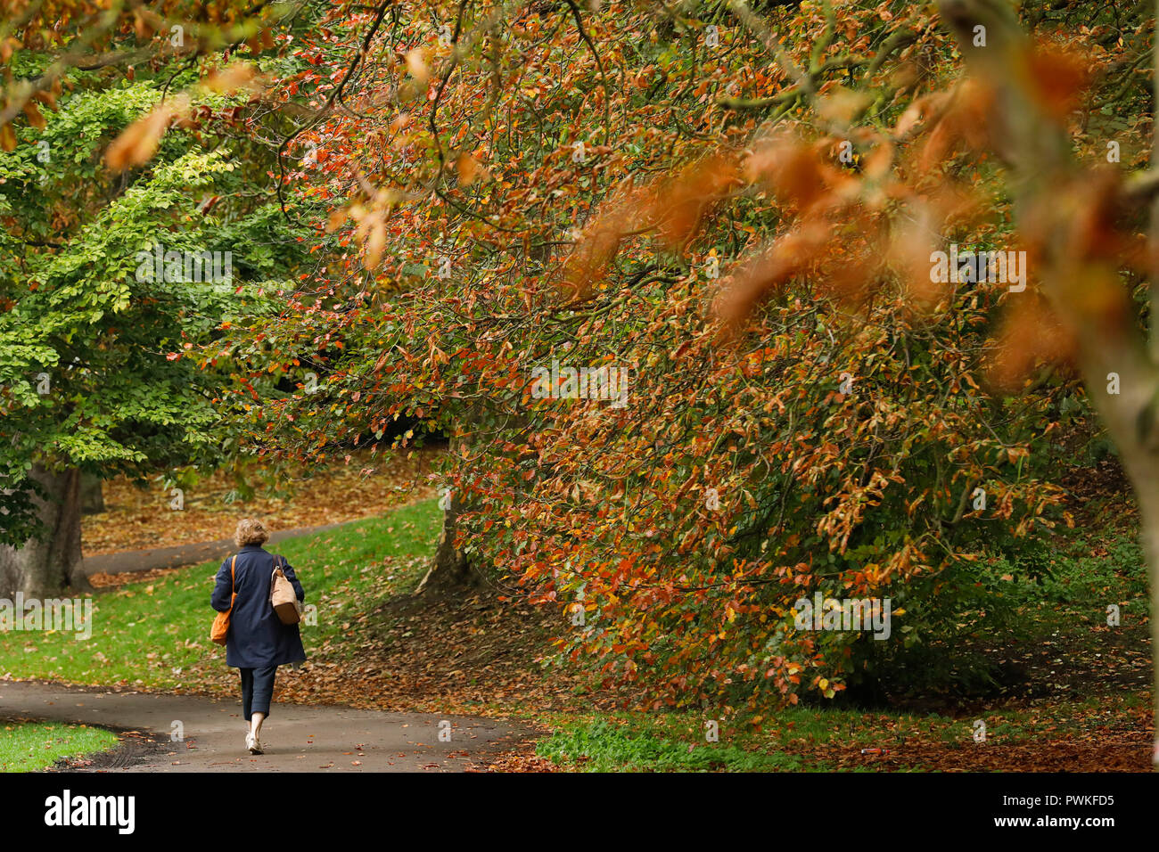 Battersea Park, London. 17th Oct 2018. UK Weather: A woman walks among the colourful autumn leaves in Battersea Park in London, Wednesday October 17, 2018. Photograph : © Luke MacGregor Credit: Luke MacGregor/Alamy Live News Stock Photo