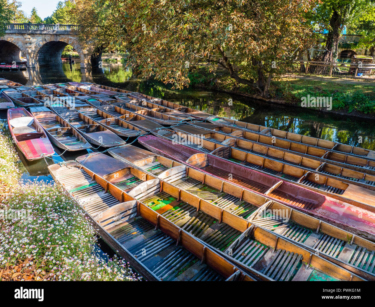 Punt, Punts on River Cherwell, Magdalene Bridge, University of Oxford Botanic Garden, Oxford, Oxfordshire, England, UK, GB. Stock Photo