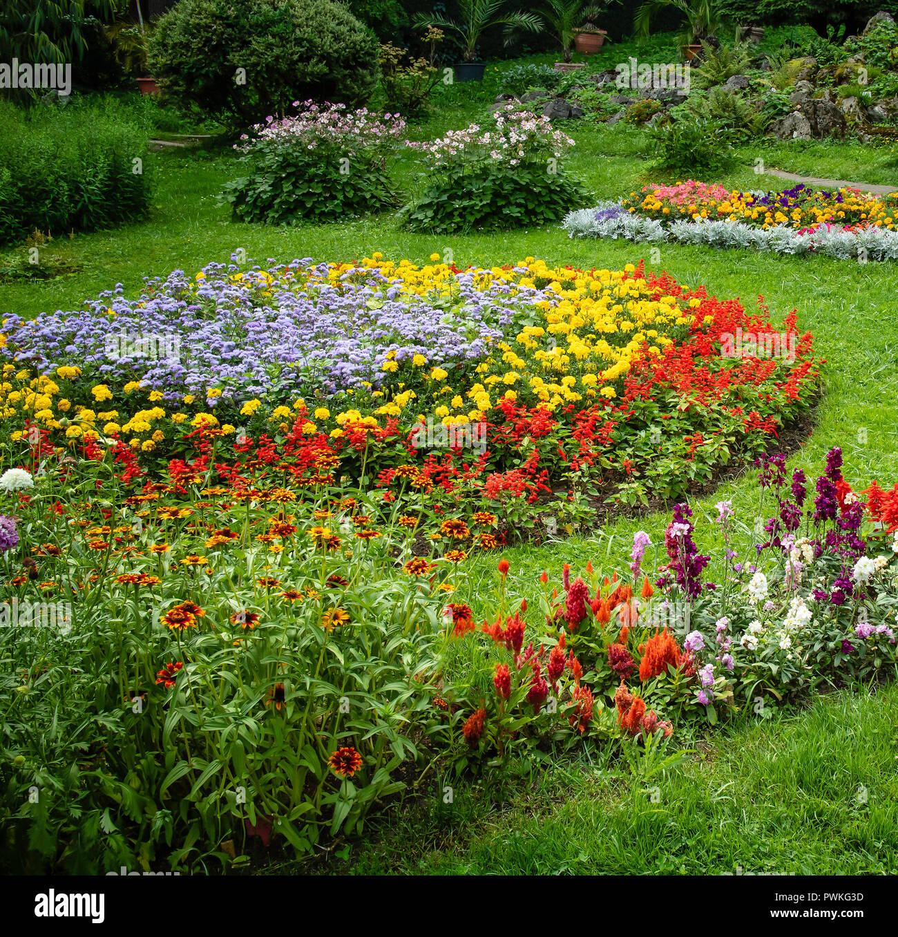 A garden full of flowers in various colors and shapes Stock Photo