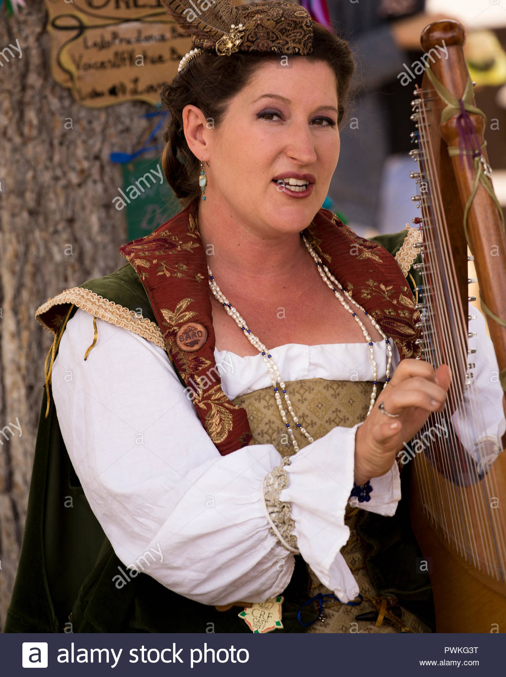 Renaissance Musician Stock Photos & Renaissance Musician Stock Images