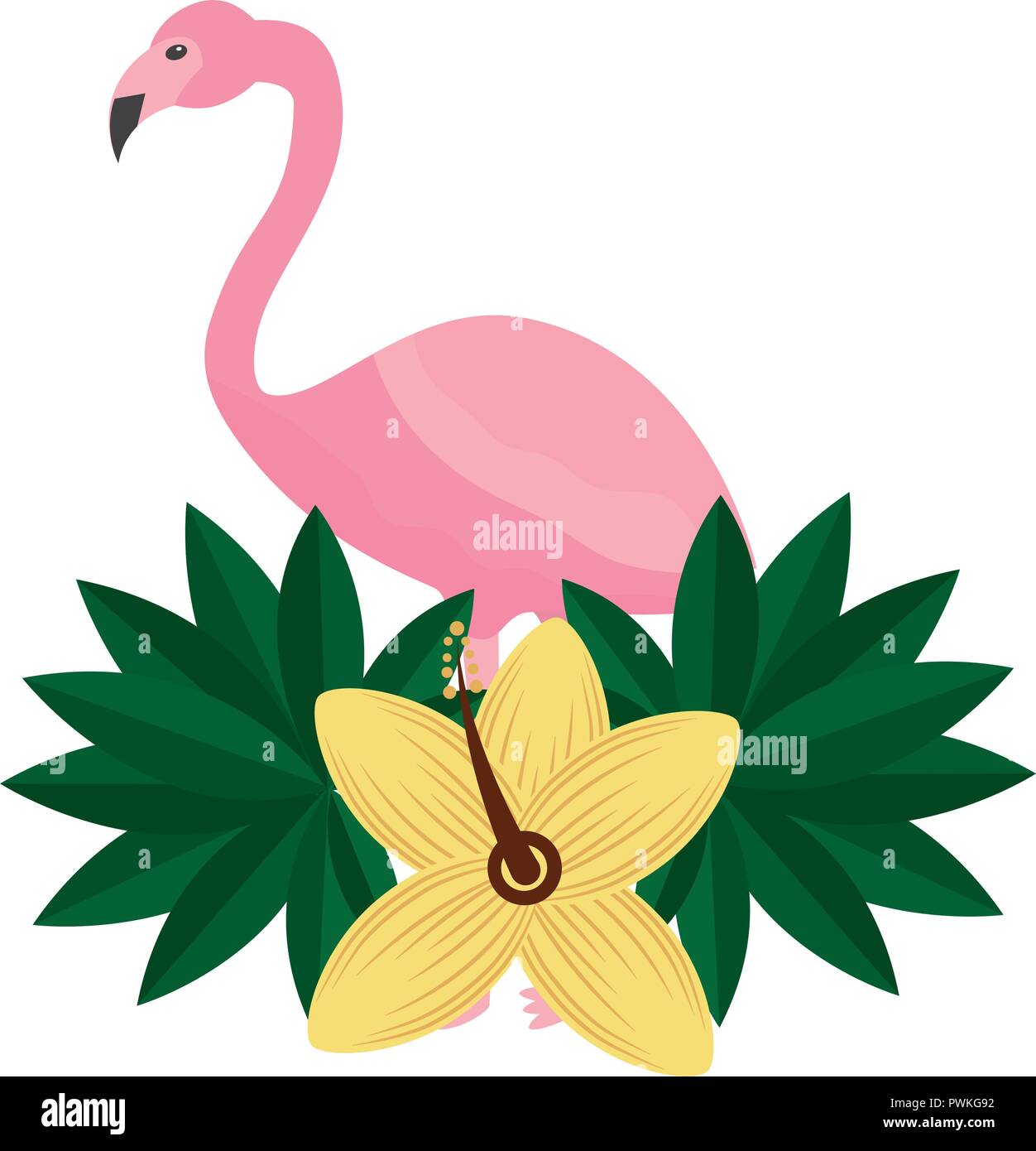 pink flamingo flower hibiscus tropical summer vector illustration Stock ...