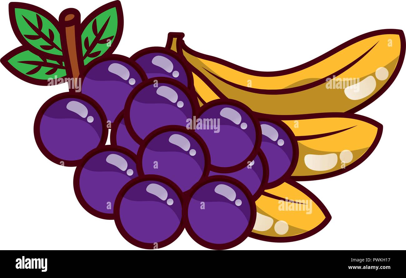fruits fresh organic grapes and bananas vector illustration Stock