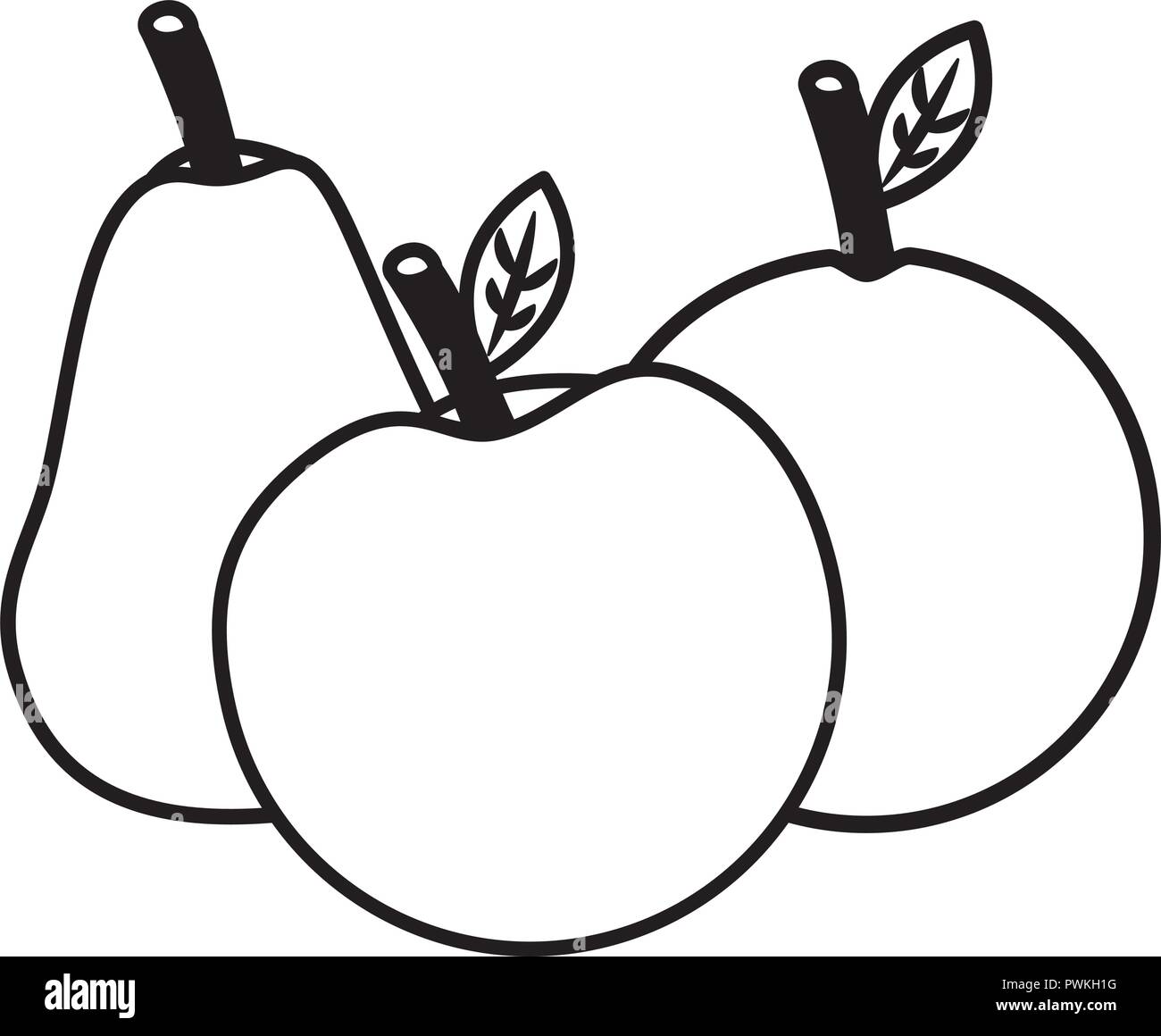 fruits fresh organic apple pear and orange vector illustration outline