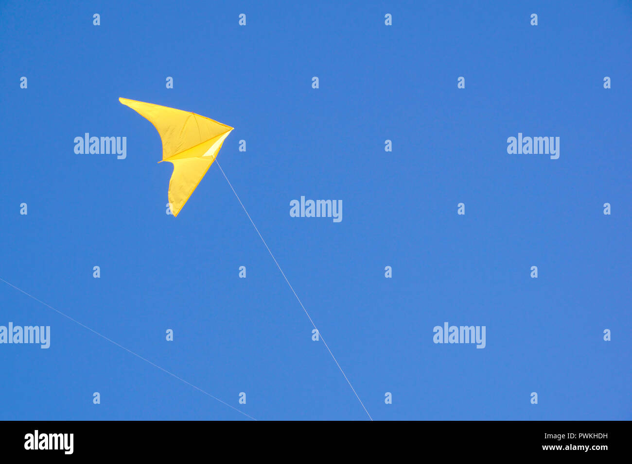 big colorful kite flies high in the sky . Beautiful kites in a kite