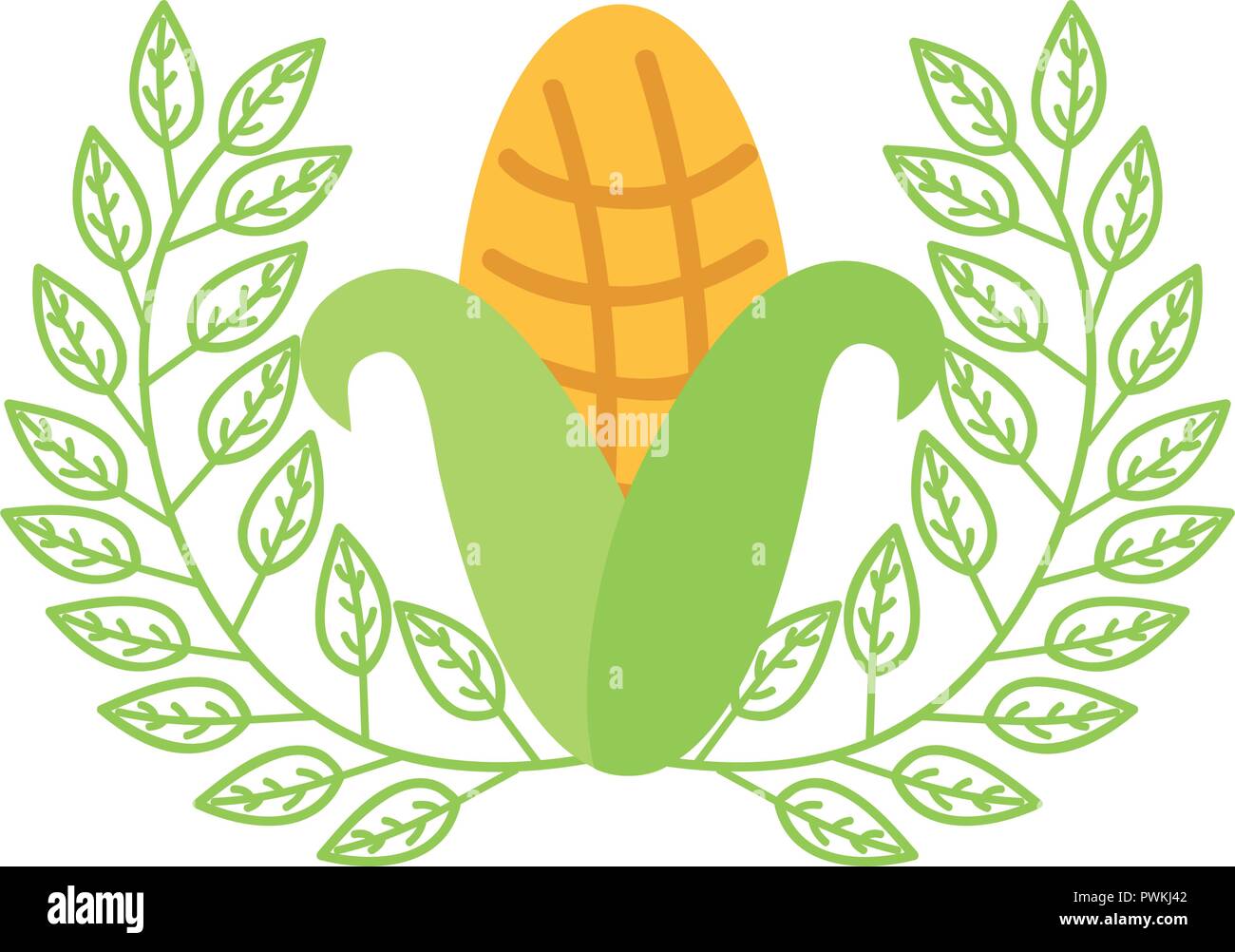 fresh nature emblem vegetable corn cob vector illustration Stock Vector ...