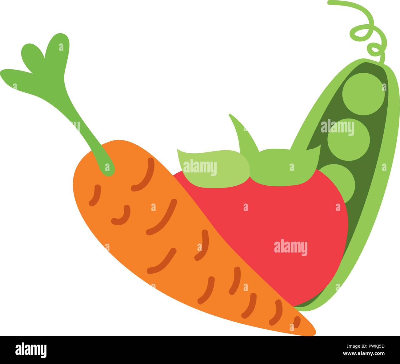 fresh organic tomato carrot and peas vector illustration Stock Vector ...
