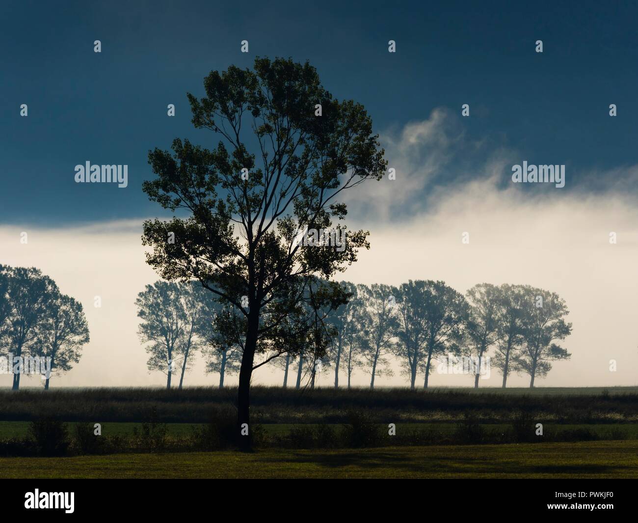 Morning country-side landscape dramatic dark image Stock Photo