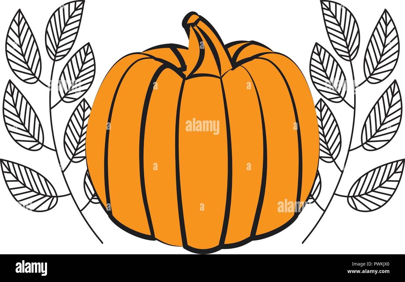 fresh pumpkin leaves on white background vector illustration Stock ...