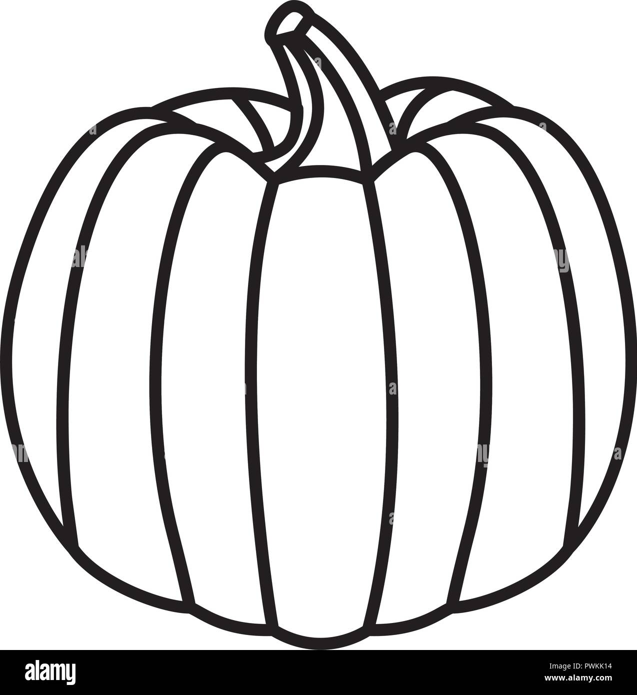 fresh pumpkin on white background vector illustration Stock Vector ...